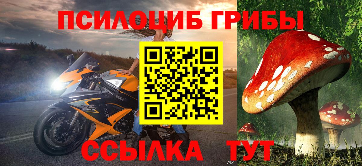 Кропоткин  Галлюциногенные грибы мухоморы  Вход с VPN 